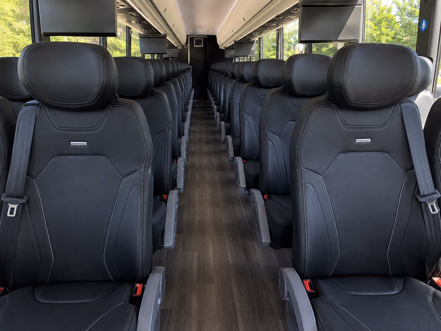 bachelorette wine tour buses in scottsdale